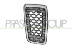 PRASCO JE2022021 — Grilă radiator