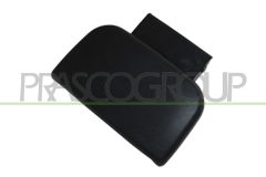 PRASCO PG9048011 — Ручка двери наружная