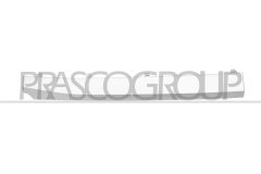 PRASCO SB7042203 — Bandou grilă radiator