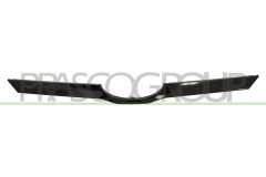 PRASCO SB7042206 — Bandou grilă radiator