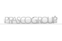 PRASCO SB7042213 — Bandou grilă radiator