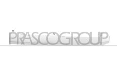 PRASCO SB7042214 — Bandou grilă radiator