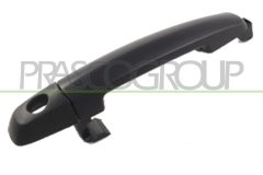PRASCO SZ0568002 — Ручка двери наружная