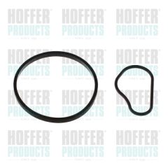 HOFFER 91252 — Garnitură pompă vacuum