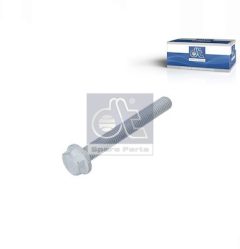 DT Spare Parts 4.40348 — Șurub bascul