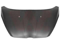 VAN WEZEL 1801660 — Капот