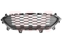 VAN WEZEL 1908599 — Grilă de ventilație bară de protecție