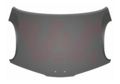 VAN WEZEL 3328660 — Capotă