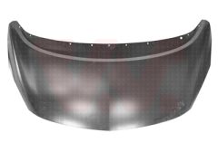VAN WEZEL 3860660 — Capotă