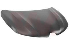 VAN WEZEL 4403670 — Capotă