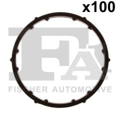 FA1 076.202.100 — Inel de etanșare