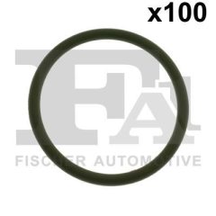 FA1 076.206.100 — Inel de etanșare