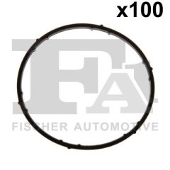 FA1 076.215.100 — Уплотнительное кольцо
