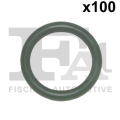 FA1 076.369.100 — Inel de etanșare