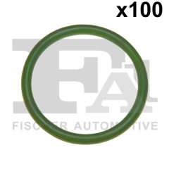 FA1 076.563.100 — Inel de etanșare