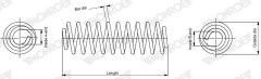 MONROE SP5045 — Arc suspensie