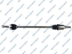 GSP 202990 — Planetară