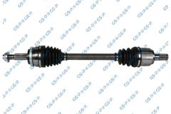 GSP 203867 — Planetară