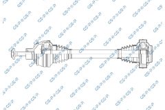 GSP 204099 — Planetară