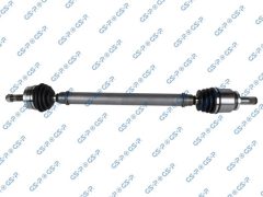 GSP 228004 — Planetară