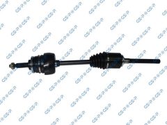 GSP 228029 — Planetară