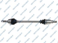 GSP 241337 — Planetară