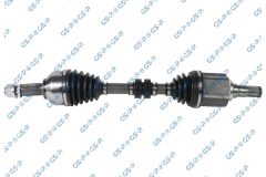 GSP 241561 — Planetară