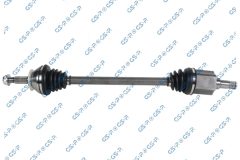 GSP 256200 — Planetară