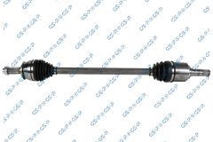 GSP 256245 — Planetară