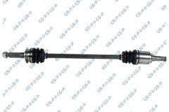 GSP 256247 — Planetară