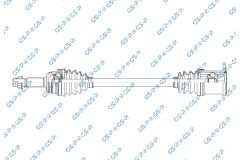 GSP 256358 — Planetară