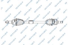 GSP 256460 — Planetară