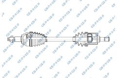 GSP 256461 — Planetară