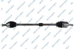 GSP 256462 — Planetară