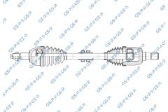 GSP 256469 — Planetară