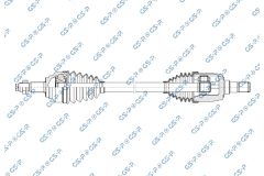 GSP 256470 — Planetară