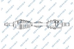 GSP 256504 — Planetară
