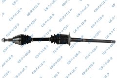 GSP 256505 — Planetară