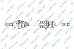 GSP 256507 — Planetară
