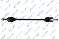GSP 256510 — Planetară