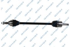 GSP 256511 — Planetară