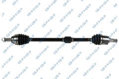 GSP 256528 — Planetară