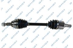 GSP 256529 — Planetară