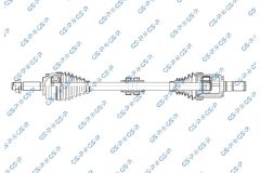 GSP 256554 — Planetară
