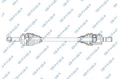 GSP 256555 — Planetară