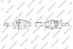 GSP 256595 — Planetară