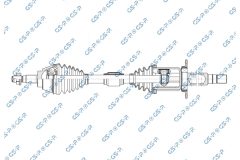 GSP 256596 — Planetară