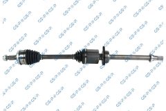 GSP 256648 — Planetară