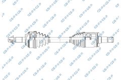 GSP 256711 — Planetară
