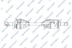 GSP 256712 — Planetară